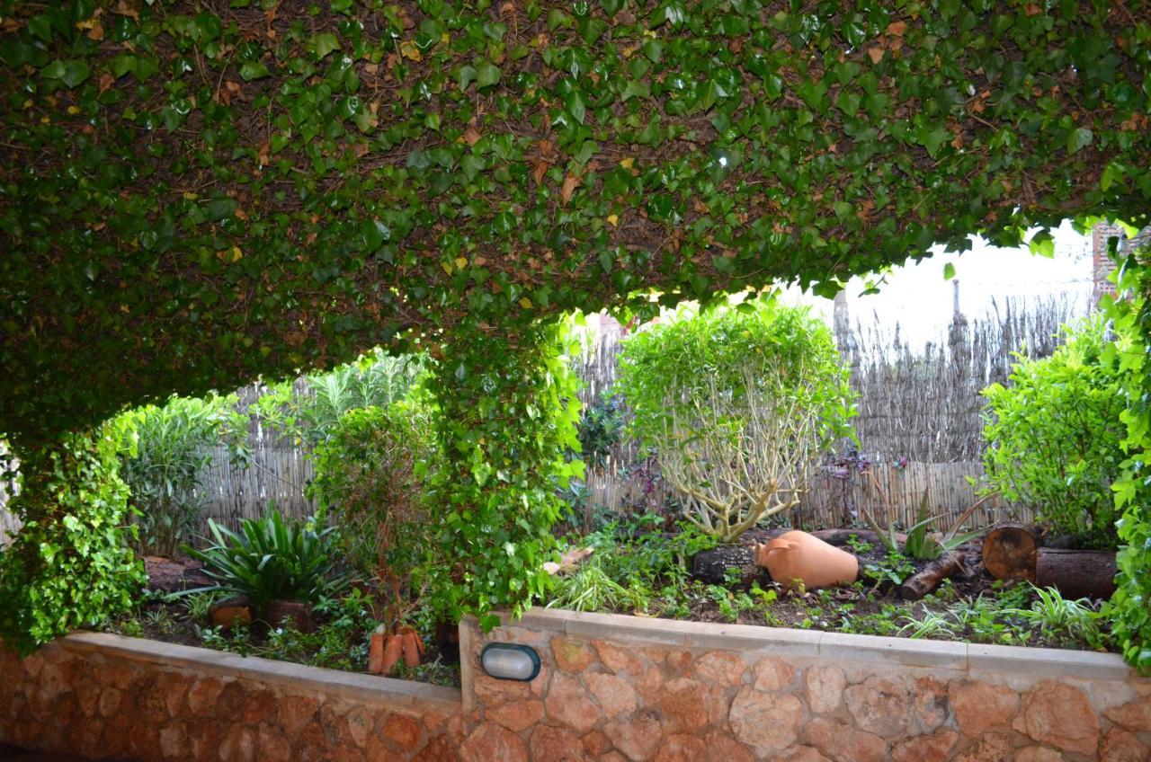 Holiday home Casa Piedra Mallorca El Toro (Mallorca)